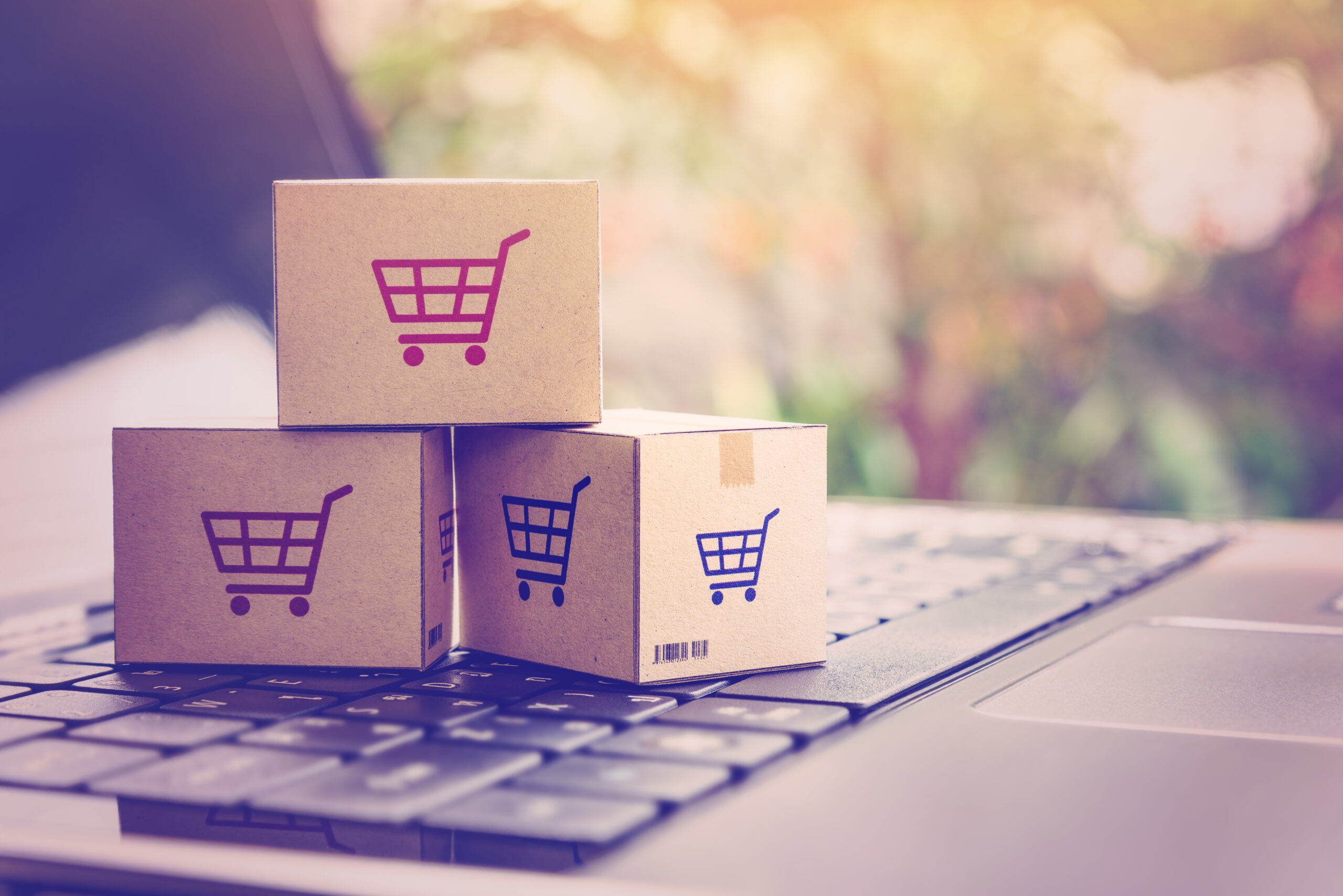 Featured image for “Industrial B2B Buyers Embrace Digital for Online Ordering”